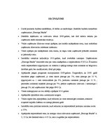 Referāts 'Viesnīcas "Hercogs Jēkabs" finanšu rādītāju analīze', 27.