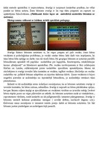 Referāts 'Mana ikdiena kopā ar bērnu ar autismu', 7.