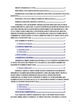 Referāts 'Mārketinga analīze uzņēmumā', 2.