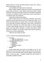 Referāts 'Mārketinga analīze uzņēmumā', 12.