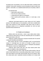 Referāts 'Mārketinga analīze uzņēmumā', 16.