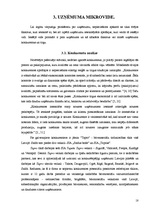 Referāts 'Mārketinga analīze uzņēmumā', 18.