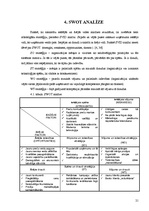 Referāts 'Mārketinga analīze uzņēmumā', 21.