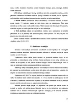 Referāts 'Mārketinga analīze uzņēmumā', 24.