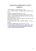 Referāts 'Mārketinga analīze uzņēmumā', 29.