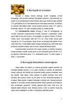 Referāts 'Kartupeļi', 3.