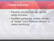 Prezentācija 'Āfrikas tradicionālo tiesību loks', 6.