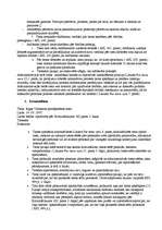 Prakses atskaite 'Ievadprakse tiesā', 4.