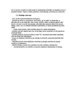 Referāts 'Pašapziņas veidošanās skolēniem un skolotāja sadarbība ar bērniem pašapziņas vei', 7.