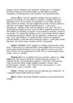 Referāts 'Arhetipu vieta un nozīme kultūrā Junga skatījumā', 6.