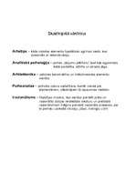 Referāts 'Arhetipu vieta un nozīme kultūrā Junga skatījumā', 7.