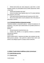 Referāts 'Banku kreditēšanas process Latvijā', 13.