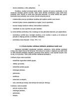 Diplomdarbs 'Latvijas tūrisma politikas veidošanas analīze un pilnveidošana', 27.