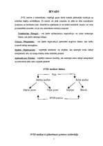 Referāts 'Latvijas nekustamo īpašumu firmu SVID analīze', 2.