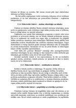 Referāts 'Mazumtirdzniecības uzņēmuma "Latvijas Balzams" darbības analīze un plānošana', 13.