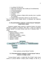 Referāts 'Mazumtirdzniecības uzņēmuma "Latvijas Balzams" darbības analīze un plānošana', 17.