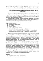 Referāts 'Mazumtirdzniecības uzņēmuma "Latvijas Balzams" darbības analīze un plānošana', 18.