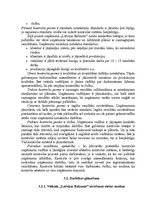 Referāts 'Mazumtirdzniecības uzņēmuma "Latvijas Balzams" darbības analīze un plānošana', 27.