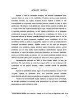 Referāts 'Kriminālistiskā taktika', 7.