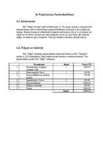 Biznesa plāns 'SIA "Zāģis"', 11.