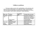 Biznesa plāns 'SIA "Zāģis"', 13.