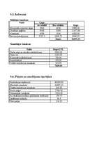 Biznesa plāns 'SIA "Zāģis"', 15.