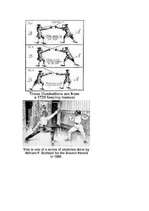 Konspekts 'Fencing', 10.