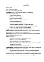 Referāts 'Zobu veselības izpēte Madonā', 2.