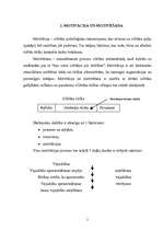 Referāts 'Vadības psiholoģija', 3.