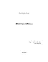 Referāts 'Bišu stropu ražošana', 1.