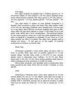 Referāts 'Bišu stropu ražošana', 7.