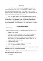 Prakses atskaite 'Agrīnās bērnības pedagoģiskā prakse', 4.