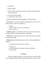 Prakses atskaite 'Agrīnās bērnības pedagoģiskā prakse', 5.