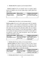 Prakses atskaite 'Agrīnās bērnības pedagoģiskā prakse', 14.