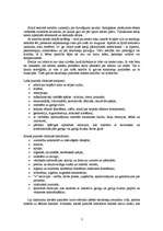 Referāts 'Kreilība', 2.