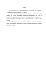 Prakses atskaite 'Prakses atskaite SIA "Elizabetes centrs"', 3.