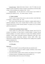 Prakses atskaite 'Prakses atskaite SIA "Elizabetes centrs"', 5.