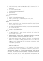 Prakses atskaite 'Prakses atskaite SIA "Elizabetes centrs"', 6.