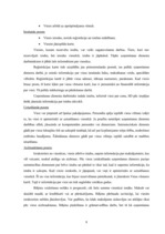 Prakses atskaite 'Prakses atskaite SIA "Elizabetes centrs"', 8.