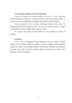 Prakses atskaite 'Prakses atskaite SIA "Elizabetes centrs"', 11.