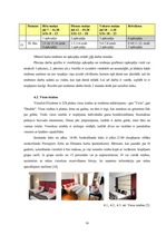 Prakses atskaite 'Prakses atskaite SIA "Elizabetes centrs"', 16.