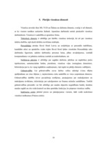 Prakses atskaite 'Prakses atskaite SIA "Elizabetes centrs"', 18.