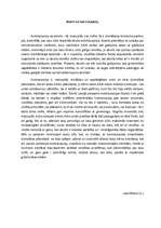 Eseja 'Aborts vai kontracepcija', 1.