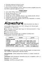 Konspekts 'Vēstures pārskats, galvenie notikumi, personas un jēdzieni no aizvēstures līdz S', 2.