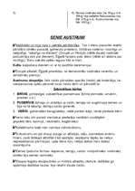 Konspekts 'Vēstures pārskats, galvenie notikumi, personas un jēdzieni no aizvēstures līdz S', 6.