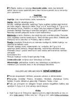 Konspekts 'Vēstures pārskats, galvenie notikumi, personas un jēdzieni no aizvēstures līdz S', 7.