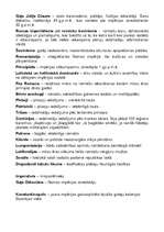 Konspekts 'Vēstures pārskats, galvenie notikumi, personas un jēdzieni no aizvēstures līdz S', 12.