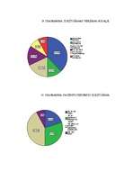 Diplomdarbs 'Māsas izglītojošais darbs terapijas - neiroloģijas nodaļās', 58.