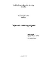 Referāts 'Ceļu satiksmes negadījumi', 1.