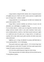 Referāts 'Kredīts un līzings', 3.